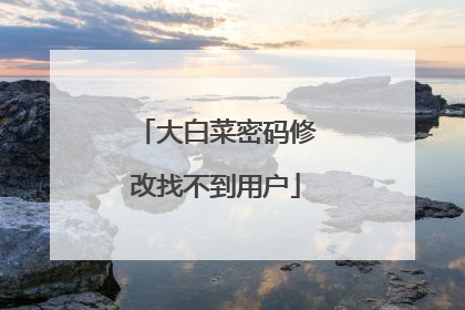 大白菜密码修改找不到用户