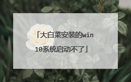大白菜安装的win10系统启动不了