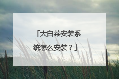 大白菜安装系统怎么安装？