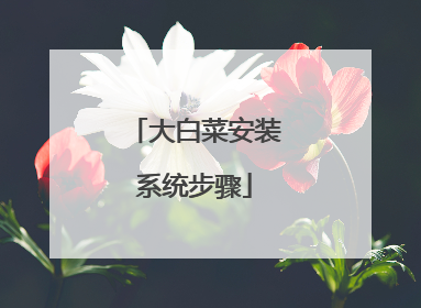 大白菜安装系统步骤