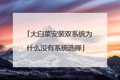 大白菜安装双系统为什么没有系统选择
