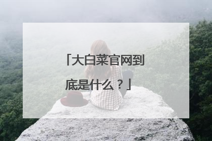 大白菜官网到底是什么？