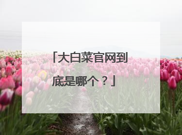 大白菜官网到底是哪个?