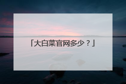 大白菜官网多少？
