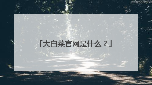 大白菜官网是什么？
