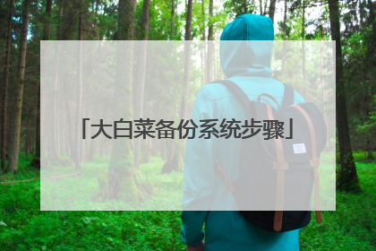 大白菜备份系统步骤