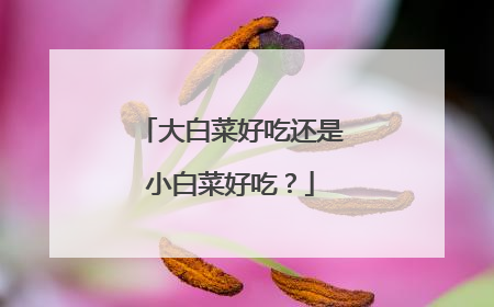 大白菜好吃还是小白菜好吃?