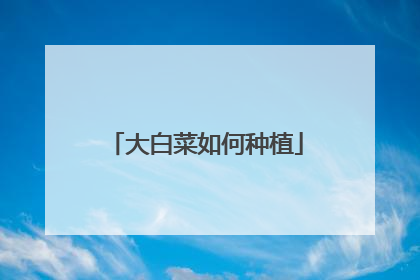 大白菜如何种植