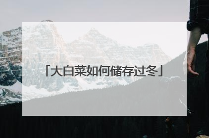 大白菜如何储存过冬