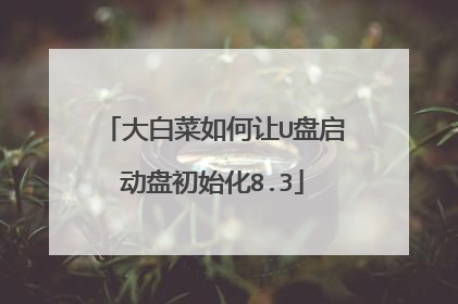 大白菜如何让U盘启动盘初始化8.3
