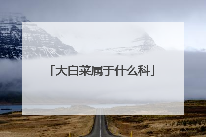 大白菜属于什么科