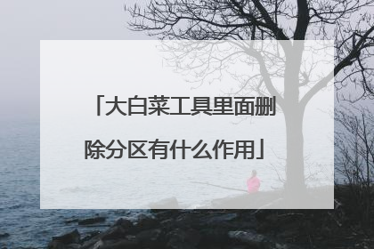 大白菜工具里面删除分区有什么作用