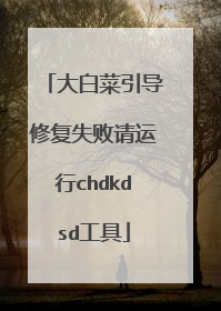 大白菜引导修复失败请运行chdkdsd工具
