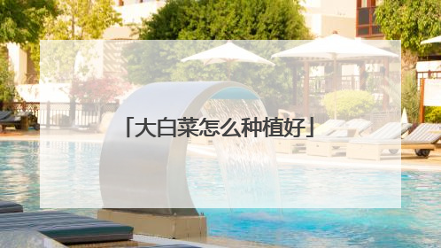 大白菜怎么种植好