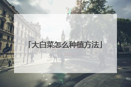 大白菜怎么种植方法