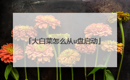 大白菜怎么从u盘启动