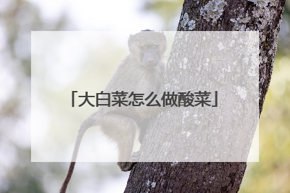 大白菜怎么做酸菜