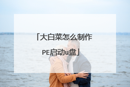 大白菜怎么制作PE启动u盘
