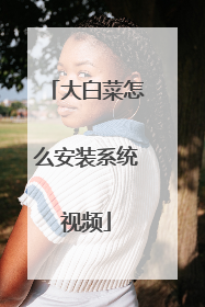 大白菜怎么安装系统视频
