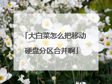 大白菜怎么把移动硬盘分区合并啊