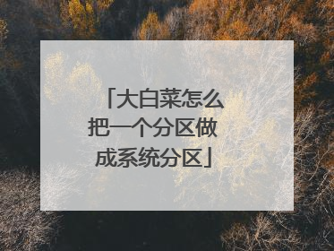 大白菜怎么把一个分区做成系统分区