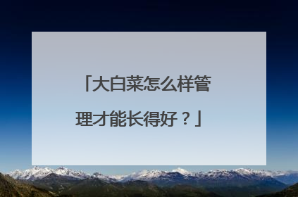 大白菜怎么样管理才能长得好?