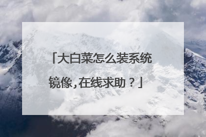 大白菜怎么装系统镜像,在线求助?
