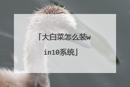 大白菜怎么装win10系统