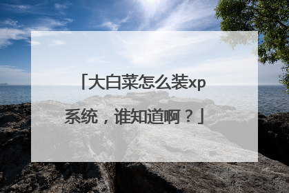 大白菜怎么装xp系统,谁知道啊?