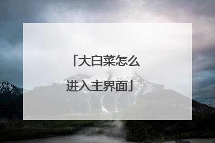 大白菜怎么进入主界面