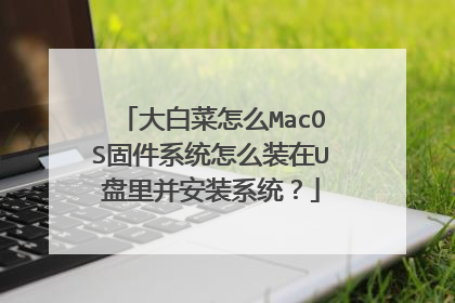 大白菜怎么MacOS固件系统怎么装在U盘里并安装系统？