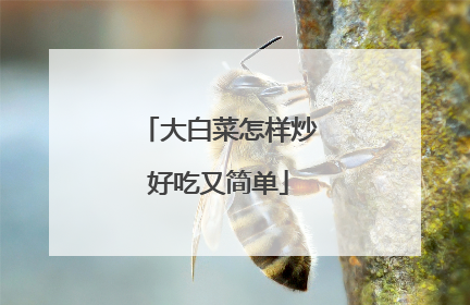 大白菜怎样炒好吃又简单