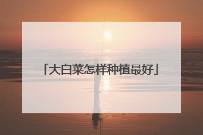 大白菜怎样种植最好