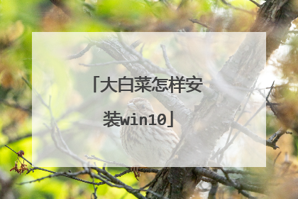 大白菜怎样安装win10