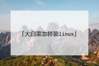 大白菜怎样装linux