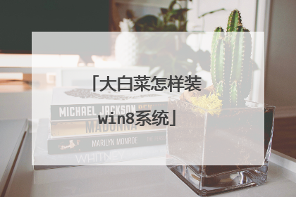 大白菜怎样装win8系统