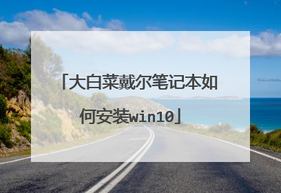 大白菜戴尔笔记本如何安装win10