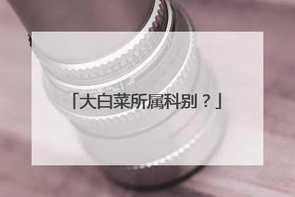 大白菜所属科别?