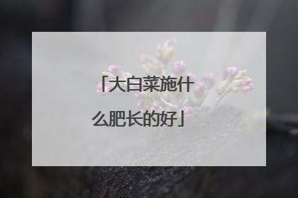 大白菜施什么肥长的好