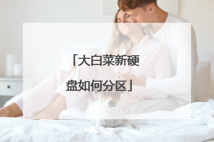 大白菜新硬盘如何分区