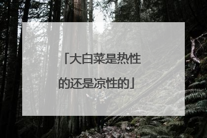 大白菜是热性的还是凉性的