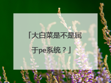 大白菜是不是属于pe系统?
