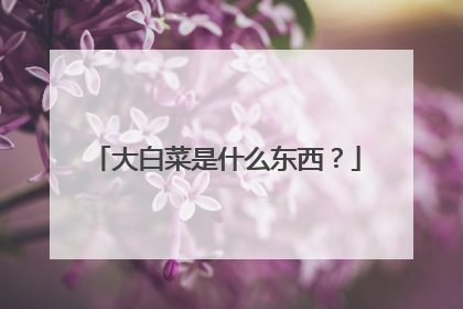 大白菜是什么东西?