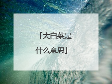 大白菜是什么意思