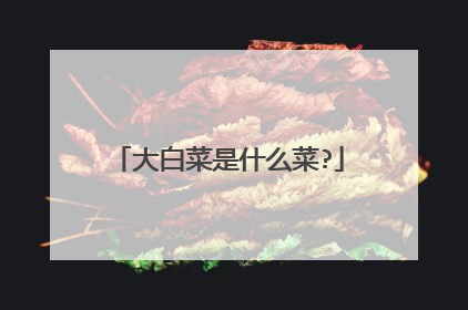 大白菜是什么菜?