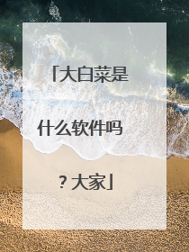 大白菜是什么软件吗？大家