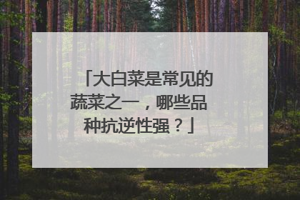 大白菜是常见的蔬菜之一,哪些品种抗逆性强?
