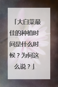 大白菜最佳的种植时间是什么时候?为何这么说?