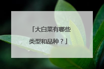 大白菜有哪些类型和品种?