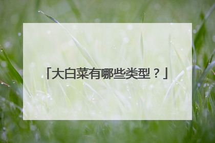 大白菜有哪些类型?